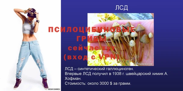 ГАЛЛЮЦИНОГЕННЫЕ ГРИБЫ Горняк