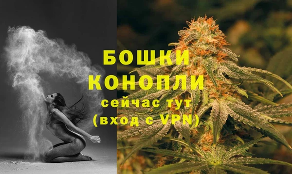 ГАЛЛЮЦИНОГЕННЫЕ ГРИБЫ Горняк