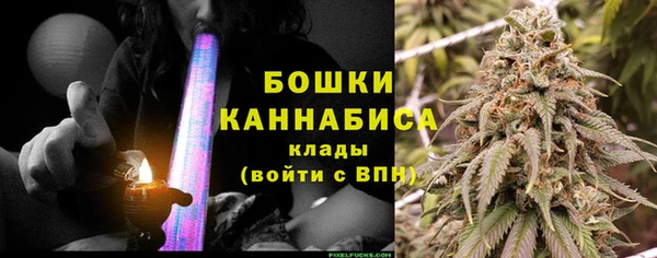 ГАЛЛЮЦИНОГЕННЫЕ ГРИБЫ Горняк