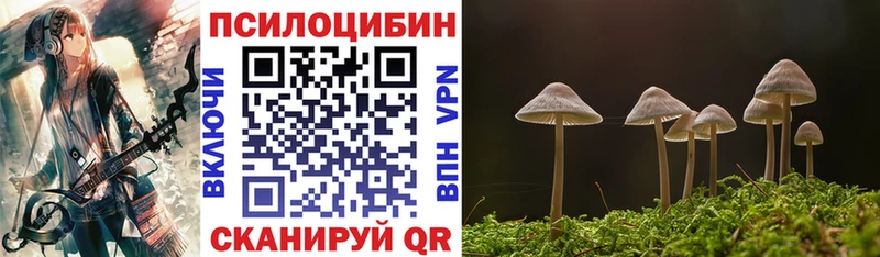Галлюциногенные грибы мухоморы  Каспийск 